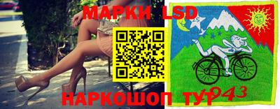спиды Краснодар