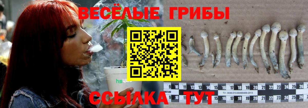 Галлюциногенные грибы Cubensis  Вход с VPN  Коломна 
